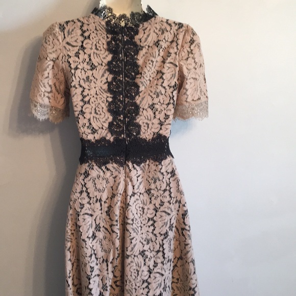 Coeur de Vague Dresses & Skirts - Classic Fashion! Beige floral black lined sz Small